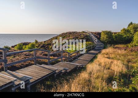 Leere Promenade im Braderuper Heide Naturschutzgebiet Stockfoto