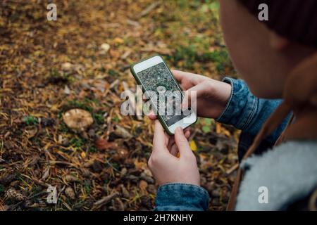 Junge fotografiert durch Smartphone im Wald Stockfoto