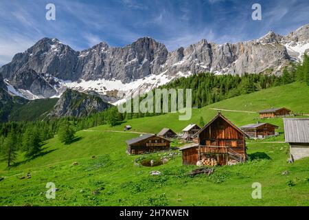 Neustattalmhütten auf landwirtschaftlichem Feld in der Steiermark, Österreich Stockfoto