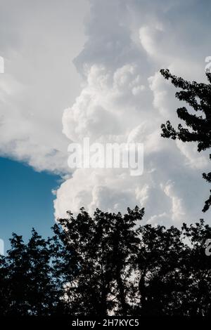 Vertikale Low-Angle-Aufnahme des weißen flauschigen Himmels Stockfoto