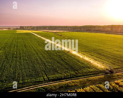 Luftaufnahme von landwirtschaftlichen Sprinklern, die bei Sonnenaufgang ein riesiges Sojabohnenfeld bewässern Stockfoto