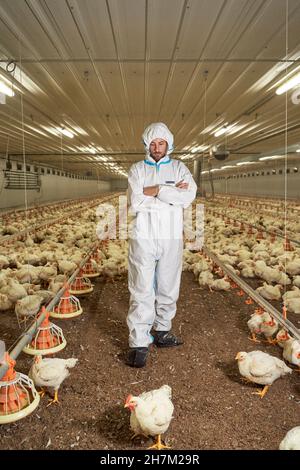 Mann mit gekreuzten Armen und Blick auf die Henne in der Fabrik Stockfoto