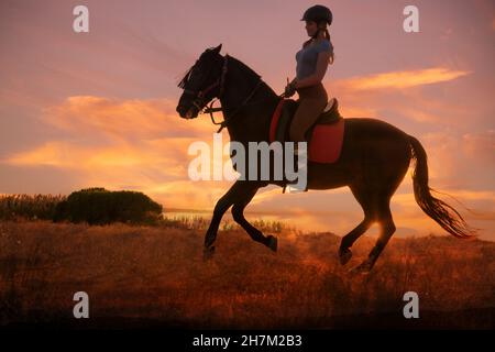 Junge Frau, die am sonnigen Tag auf einem Pferd auf der Ranch reitet Stockfoto