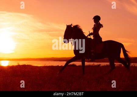 Junge Frau, die auf einem Pferd auf der Ranch reitet Stockfoto