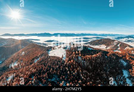 Berg bedeckt mit Nadelbäumen am sonnigen Tag auf Magdalensberg, Klagenfurt, Kärnten, Österreich Stockfoto