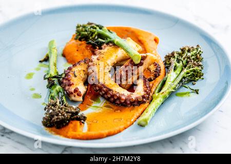 Garnierter Oktopus auf dem Tisch serviert Stockfoto