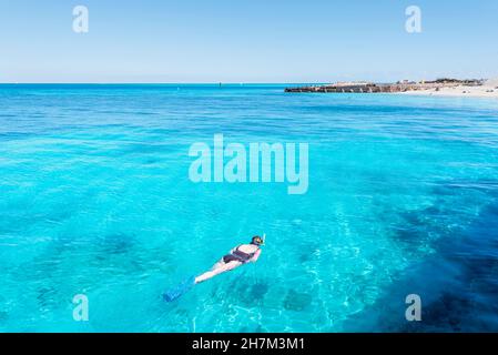 Person schnorcheln, Dry Tortugas National Park, Florida, USA Stockfoto