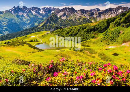 Alpenrosenblüte, Panorama vom Fellhorn über den Schlappoldsee und Bergstation der Fellhornbahn bis zum zentralen Hauptkamm des Allgä Stockfoto