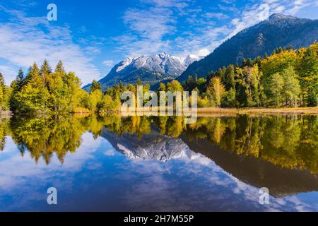 Rubihorn, 1957m, Gaisalphorn, 1953m, und Schattenberg, 1845m, nach Schneefall, Wasserspiegelung im Moorteich, Herbst, bei Oberstdorf, Oberallgäu, Stockfoto