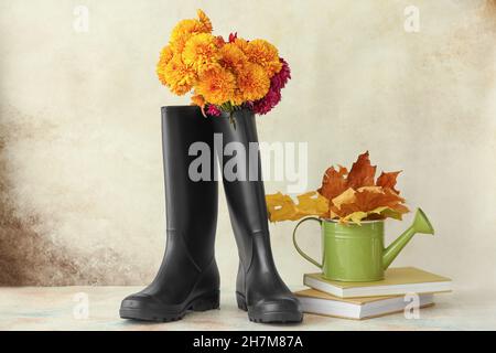 Gummistiefel, schöne Chrysantheme Blumen, Bücher und Gießkanne auf hellem Hintergrund Stockfoto