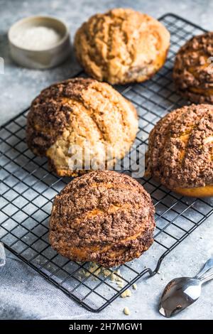 Conchas Süßbrot ist eine Art von Pan Dulce, die traditionell in Mexiko in den Wochen vor dem Día de Muertos gebacken wird Stockfoto