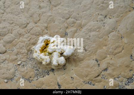 Atemberaubende Farben - Schönheiten des Yellowstone-Nationalparks Stockfoto