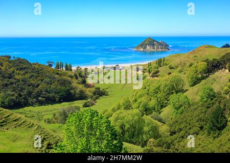 Anaura Bay, ein malerisches Urlaubsziel in der Region Eastland in Neuseeland. Direkt vor der Küste liegt die Insel Motuoroi Stockfoto