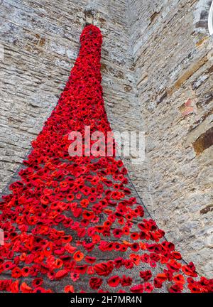 Kaskade aus gestrickten Mohnblumen auf dem Turm aus dem 13th. Jahrhundert der Kirche St. Margaret im Dorf Denton, Northamptonshire, Großbritannien Stockfoto