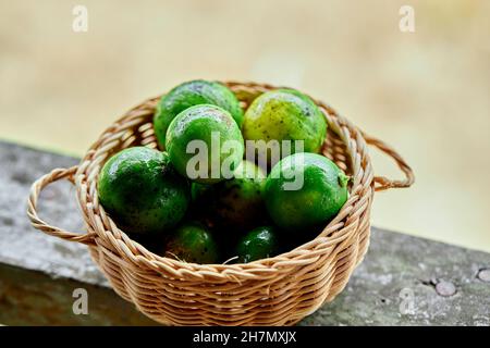 Frische Limette im Korbkorb Stockfoto