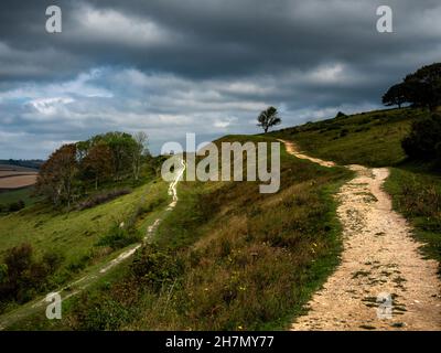 Wall of Cissbury Ring, die größte Hügelfestung in Sussex. Die Erdbaufestung an den South Downs in West Sussex wurde in der Eisenzeit C250BC erbaut Stockfoto