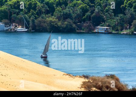 Traditionelles Boot, Felucca, Segeln vorbei an Sanddünen und Palmen auf dem Nil in Assuan, Ägypten Stockfoto