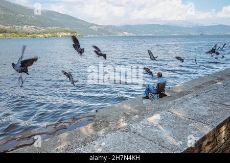 Tauben im Flug vor einem See mit einem Angler am Ufer, See Pamvotida, Ioannina, Griechenland Stockfoto