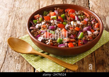 Azifa ist ein beliebter äthiopischer Salat, der aus grünen Linsen, fein gehackten Tomaten und Zwiebeln in der Nähe auf dem Teller auf dem Tisch besteht. Horizontal Stockfoto