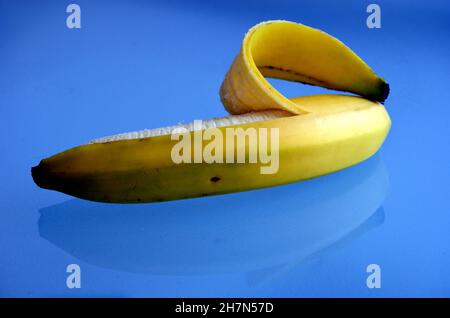 Isolierte einzelne gelbe Banane teilweise geschält auf reflektierendem blauem Farbglas mit Reflexen. Abstrakte künstlerische Komposition, Frucht, Vitamine und Gesundheit Stockfoto