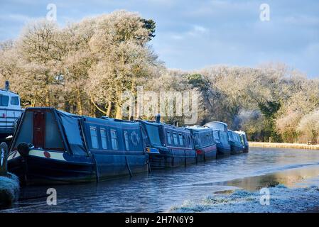 Auf einem teilweise gefrorenen Abschnitt des Shropshire Union Kanals in Nantwich, Ches-hire, England, waren die Narrowboote frostbedeckt. Frostige Bäume dahinter Stockfoto