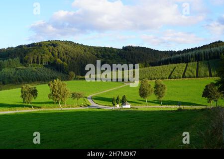 Landschaft im Sauerland bei Oberhenneborn. Panoramablick auf die grüne Natur mit Hügeln und Wäldern. Stockfoto