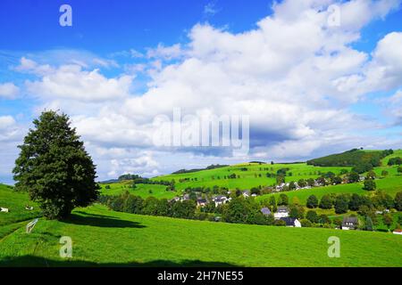 Landschaft im Sauerland bei Oberhenneborn. Panoramablick auf die grüne Natur mit Hügeln und Wäldern. Stockfoto