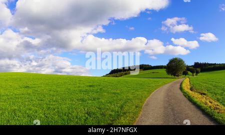 Landschaft im Sauerland bei Oberhenneborn. Panoramablick auf die grüne Natur mit Hügeln und Wäldern. Stockfoto