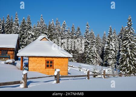 Kleines Holzhaus mit frischem Schnee bedeckt, umgeben von hohen Pinien in den Winterbergen. Stockfoto