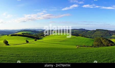 Landschaft im Sauerland bei Oberhenneborn. Panoramablick auf die grüne Natur mit Hügeln und Wäldern. Stockfoto