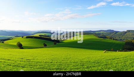 Landschaft im Sauerland bei Oberhenneborn. Panoramablick auf die grüne Natur mit Hügeln und Wäldern. Stockfoto