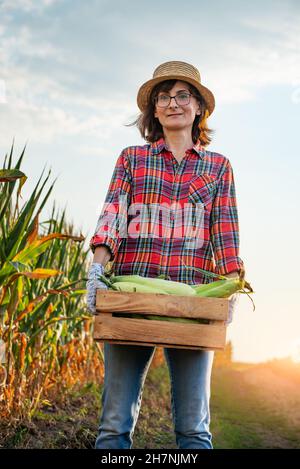 Kaukasische Arbeiterin hält eine Holzkiste mit Maiskolben und Maisfeld im Hintergrund Stockfoto