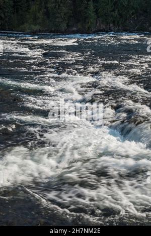 LeHardy Stromschnellen am Yellowstone River, Yellowstone National Park, Wyoming, USA Stockfoto