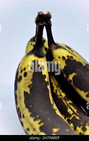 Drei überreife Bananen gruppierten sich zu einem Haufen und vor weißem Hintergrund Stockfoto