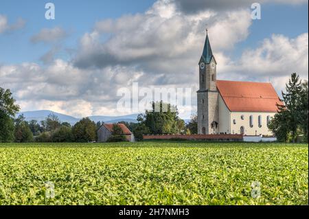 Die Pfarrkirche in der Nähe der Kleinstadt Moos in Bayern wurde zwischen 1624-1628 erbaut und ist den Heiligen Simon und Jude Thaddhäus geweiht. Stockfoto