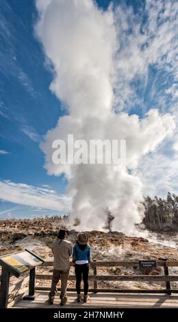 Steamboat Geyser im Back Basin, Norris Geyser Basin, Yellowstone National Park, Wyoming, USA Stockfoto