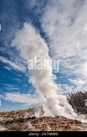 Steamboat Geyser im Back Basin, Norris Geyser Basin, Yellowstone National Park, Wyoming, USA Stockfoto