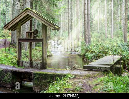 Altes Wehr am Waldwiesbach, der im Volksmund als Schussbach bekannt ist und durch ein wildromantisches Waldgebiet fließt. Stockfoto