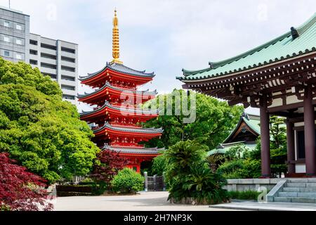 Schöne buddhistische Tochoji Tempel in Fukuoka, Japan, ruhigen Morgen Szene Stockfoto