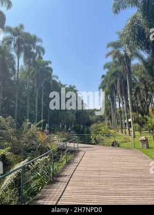 Eintritt in den Botanischen Garten von São Paulo, Brasilien Stockfoto