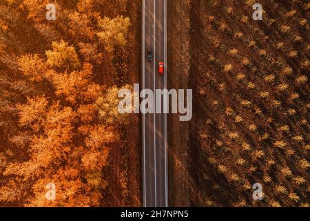 Luftaufnahme von zwei Autos, die am Herbstnachmittag auf der Straße durch Laubwald vorbeifahren, Drohne pov von oben nach unten Stockfoto