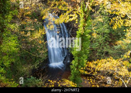 Falling Foss Waterfall, Sneaton Forest, Whitby, The North Yorkshire Moors, England Stockfoto