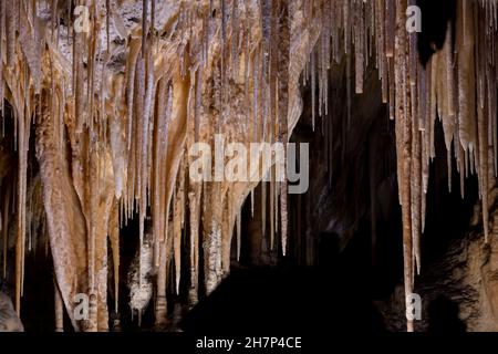 Soda Straw Stalaktiten Hängen Von Der Decke Des Carlsbad Caverns National Park Stockfoto