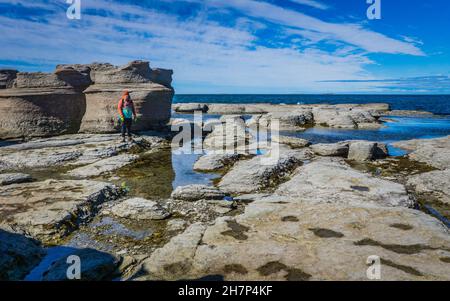 Frau, die vor Kalksteinausschnitten auf der Nue Island steht, einer Insel des Mingan-Archipels-Nationalparks in der Cote Nord-Region von Quebec, Stockfoto