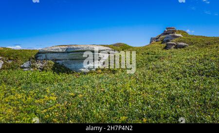 Kalksteinausschnitte auf der Insel Nue, einer Insel des Mingan-Archipels in der Region Cote Nord von Quebec, Stockfoto