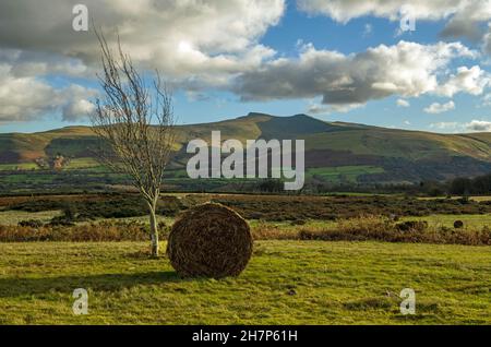 Blick von Mynydd Illtud Common auf Pen y Fan und Corn Du in den Brecon Beacons Stockfoto