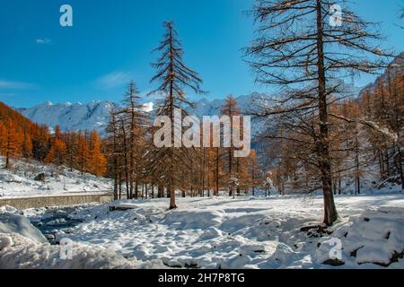 Atemberaubende verschneite Landschaft des Nationalparks Gran Paradiso, in der Nähe von Turin, Piemonte, Italien im Herbst Stockfoto