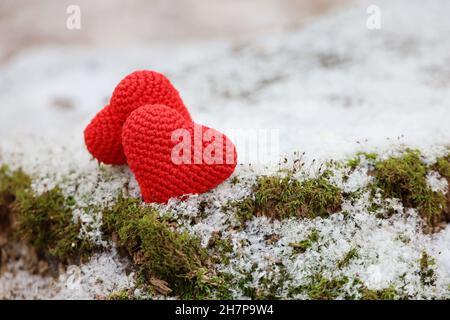 Zwei gestrickte rote Herzen auf dem Schnee und grünes Moos in einem Wald. Valentinskarte, Symbole der Liebe, Hintergrund für romantische Veranstaltung im Winter, Weihnachten Stockfoto