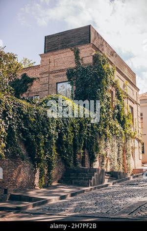 Backsteingebäude in der Altstadt, umschlungert mit einem grünen Weinberg. Architektur in Europa. Vintage-Straße mit Pflastersteinen in Georgien Stockfoto