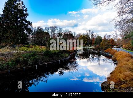Die Wolkenbildung hallte im klaren Wasser eines Parks. Stockfoto
